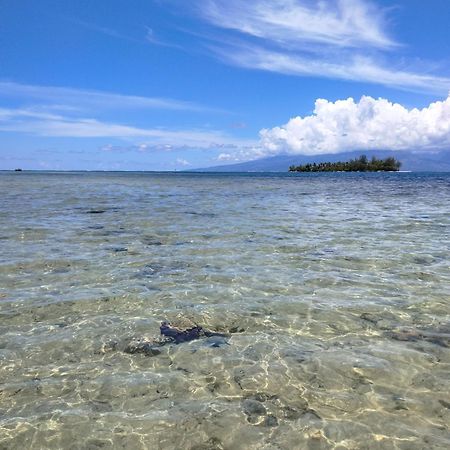 Bungalow Vue Lagon 180 Degre, La Maison Bleue Moorea Εξωτερικό φωτογραφία