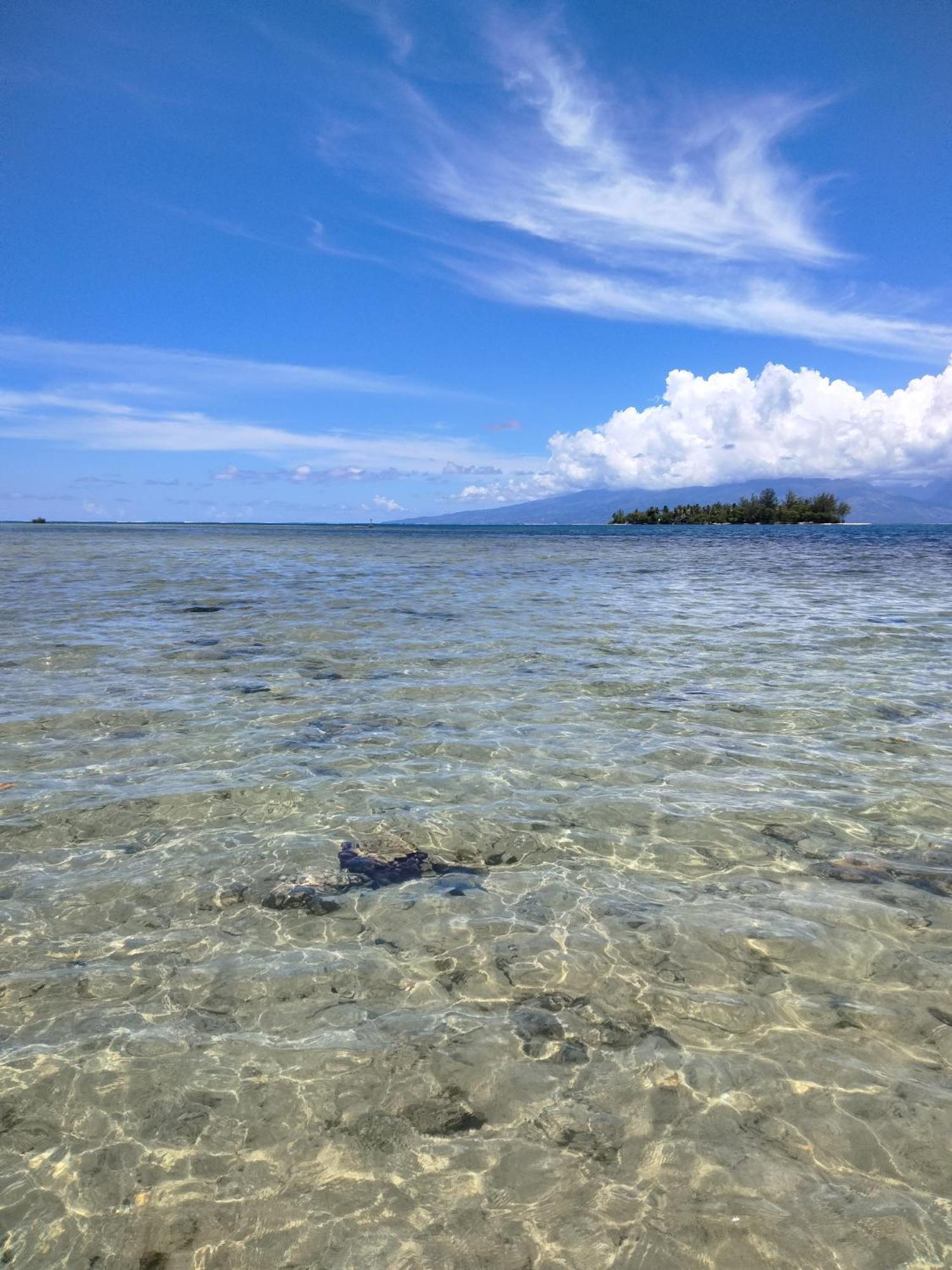 Bungalow Vue Lagon 180 Degre, La Maison Bleue Moorea Εξωτερικό φωτογραφία